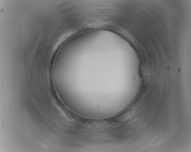 X0000074310626200609152007