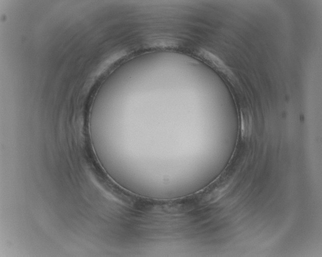 X0000074310627200609152007