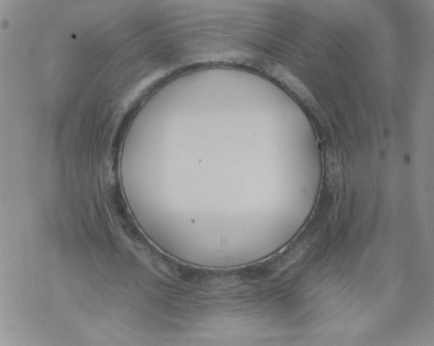 X0000074310628200609152007