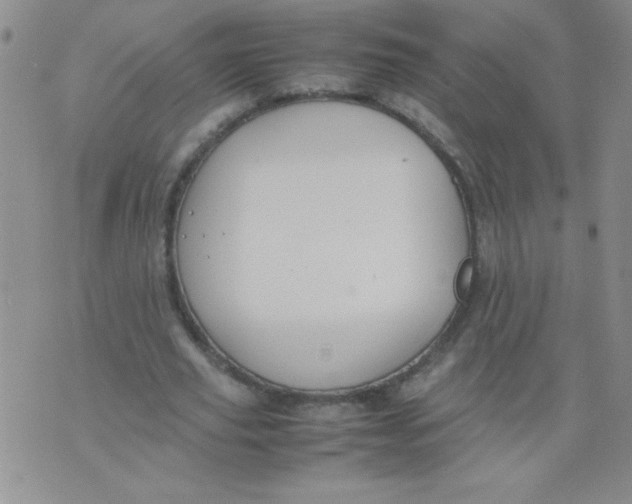 X0000074310629200609152007