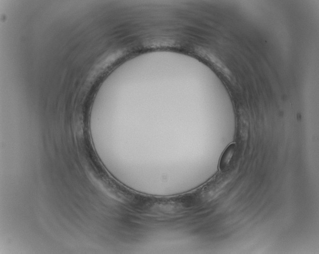 X0000074310631200609152007