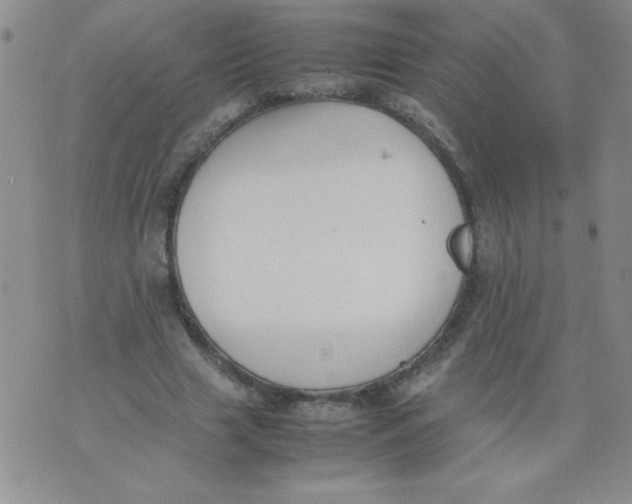 X0000074310633200609152008