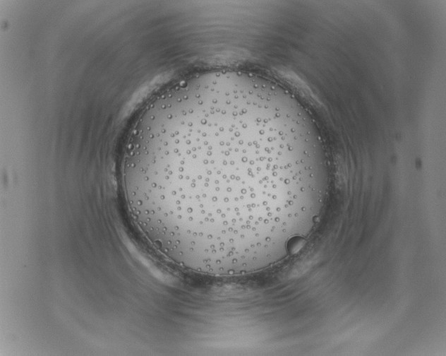 X0000074310634200609152008