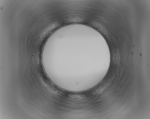 X0000074310635200609152008