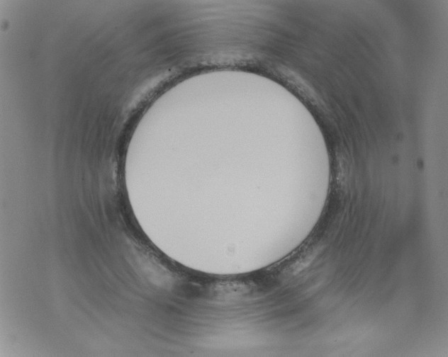 X0000074310636200609152008