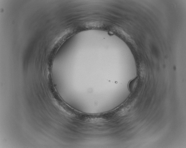 X0000074310637200609152008