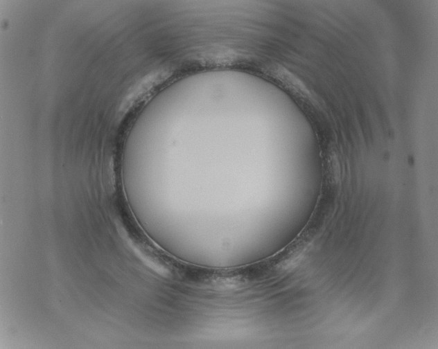 X0000074310638200609152008