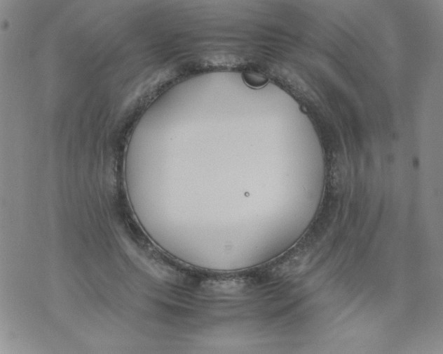 X0000074310639200609152008