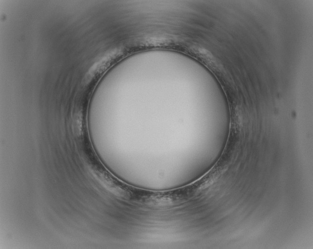 X0000074310640200609152008