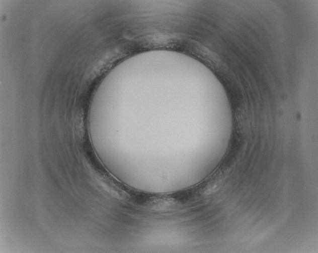 X0000074310642200609152008