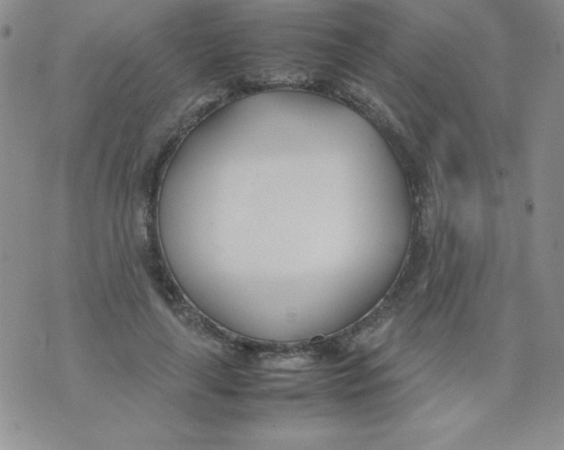 X0000074310643200609152008