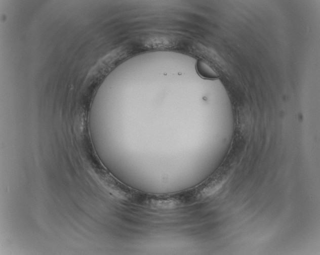 X0000074310645200609152008