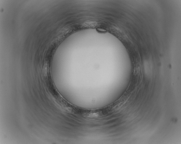 X0000074310647200609152008