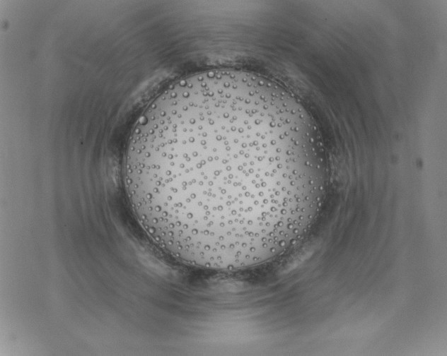 X0000074310648200609152008