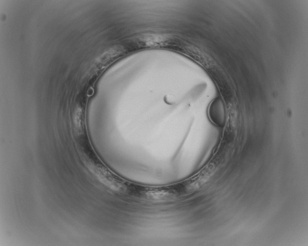 X0000074310650200609152008