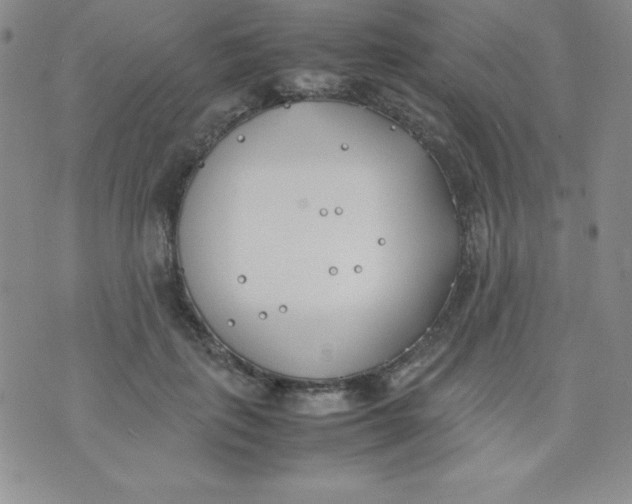 X0000074310651200609152008