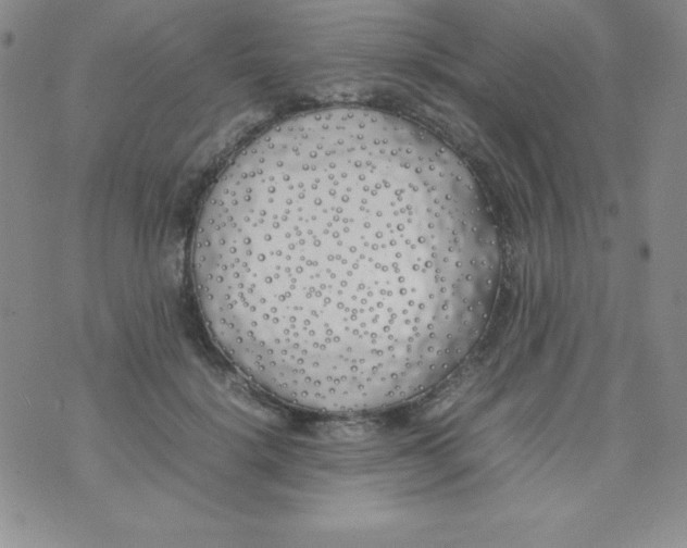 X0000074310652200609152008