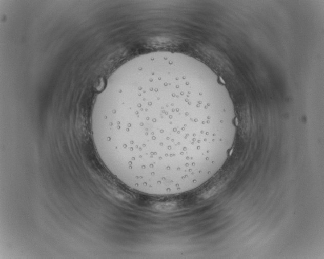 X0000074310653200609152008