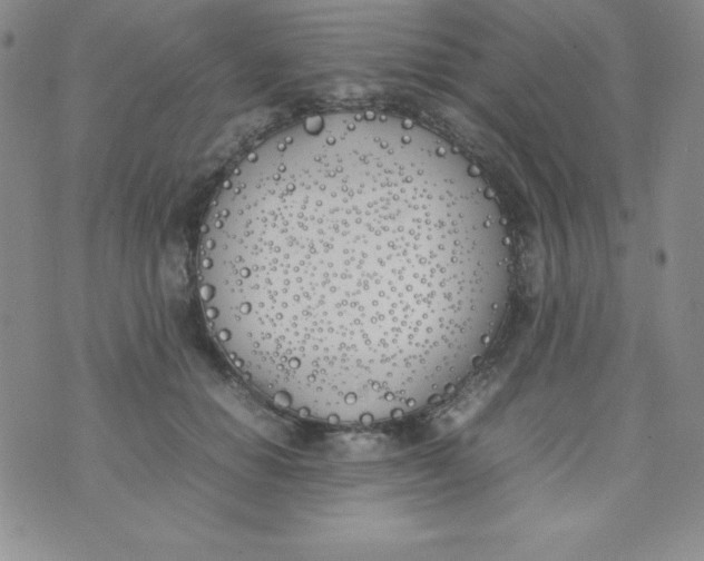 X0000074310654200609152008