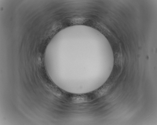 X0000074310655200609152008