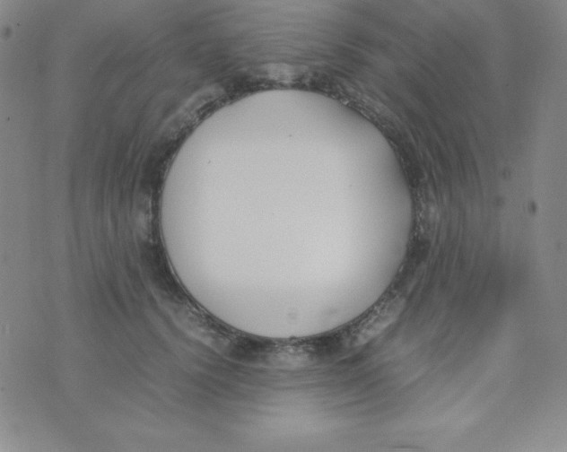 X0000074310656200609152008