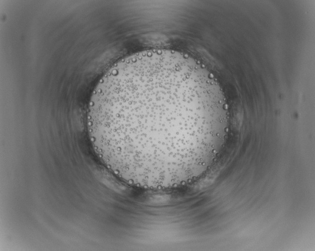 X0000074310658200609152008