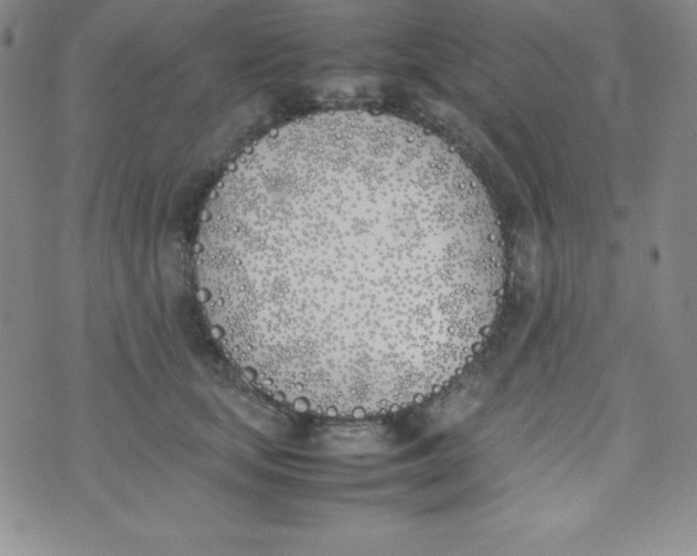 X0000074310659200609152008