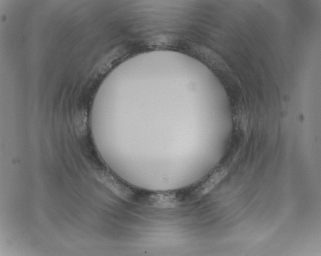 X0000074310660200609152008