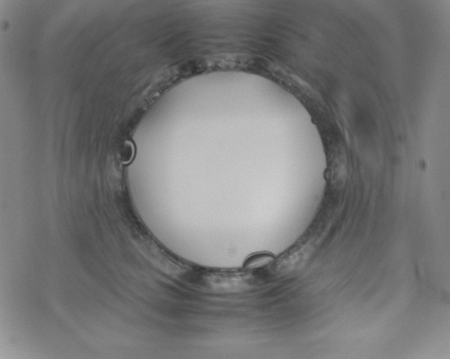 X0000074310661200609152008