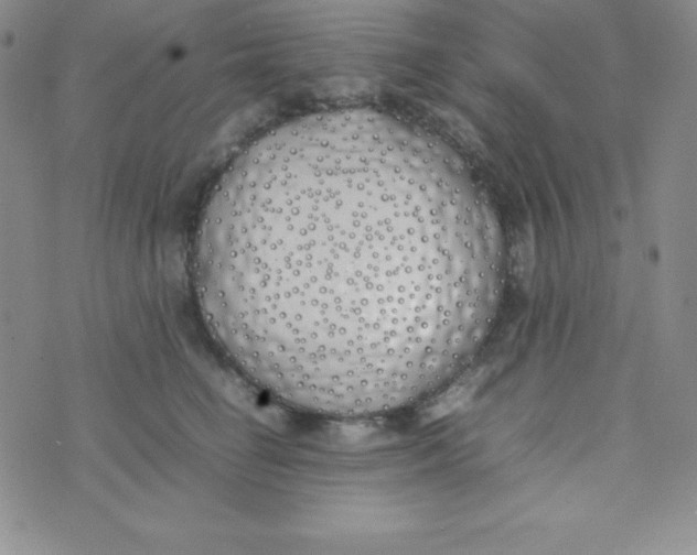 X0000074310662200609152008