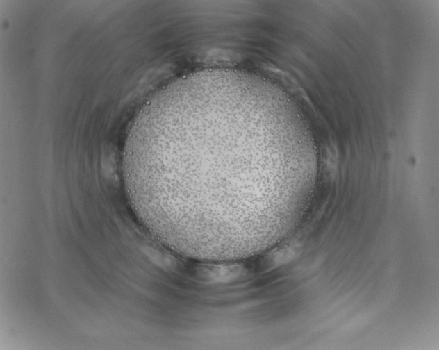 X0000074310663200609152008