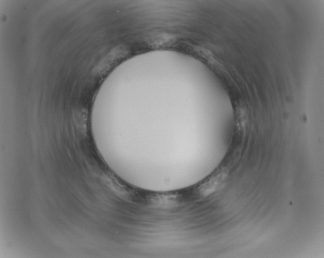 X0000074310664200609152008