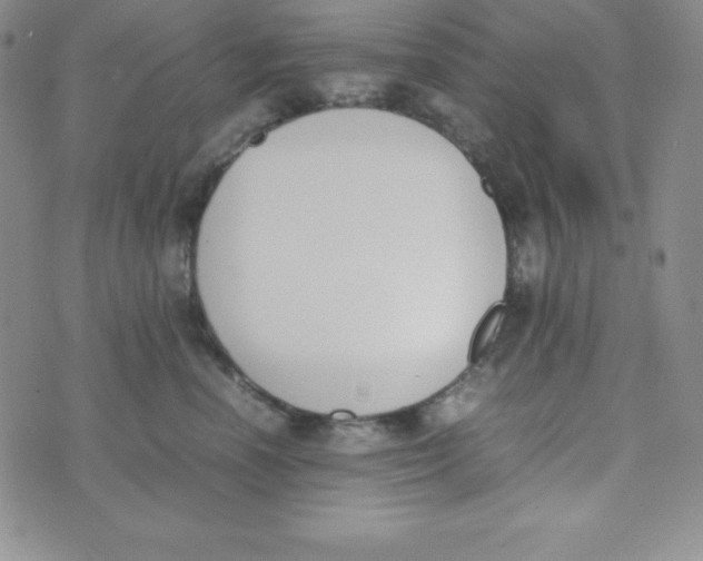 X0000074310666200609152008