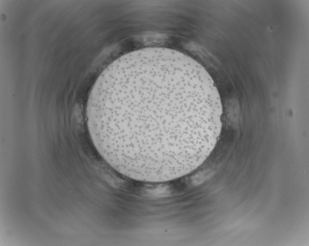 X0000074310667200609152008