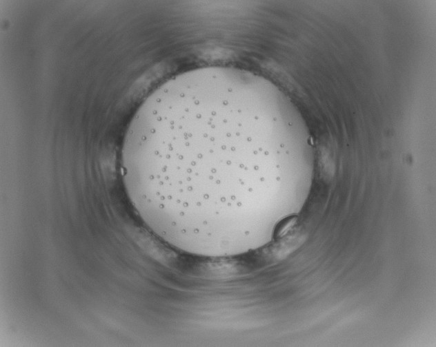 X0000074310668200609152008