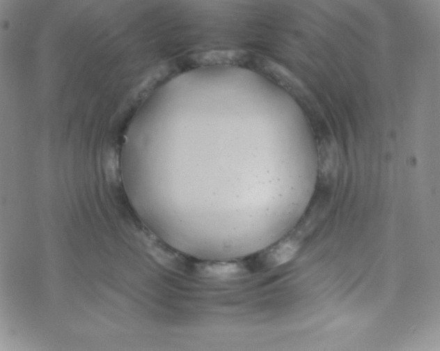 X0000074310669200609152008