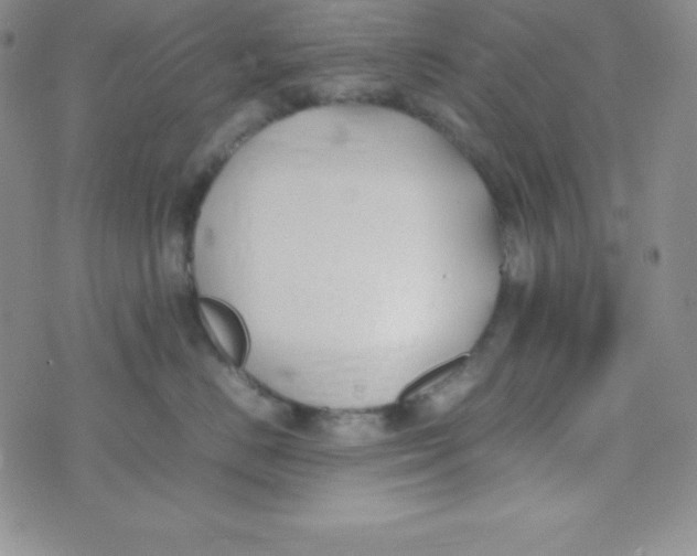 X0000074310670200609152008