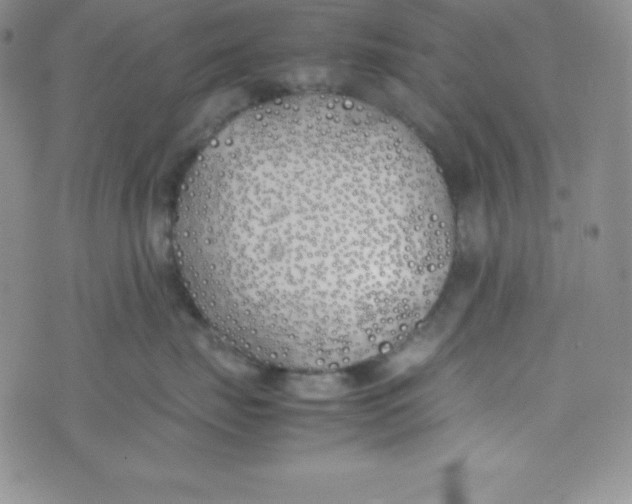 X0000074310671200609152008