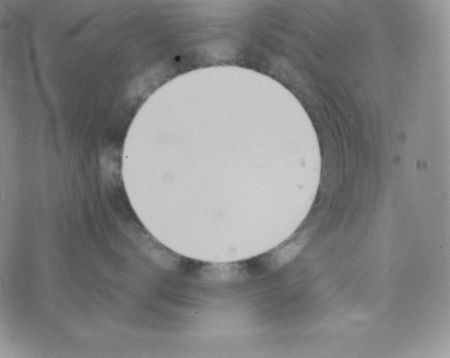 X0000074310672200609152008