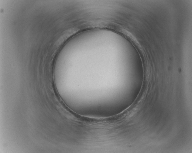 X0000074310673200609152007