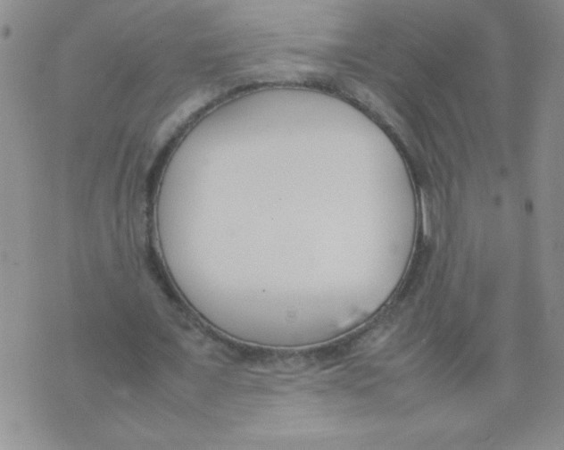 X0000074310675200609152007