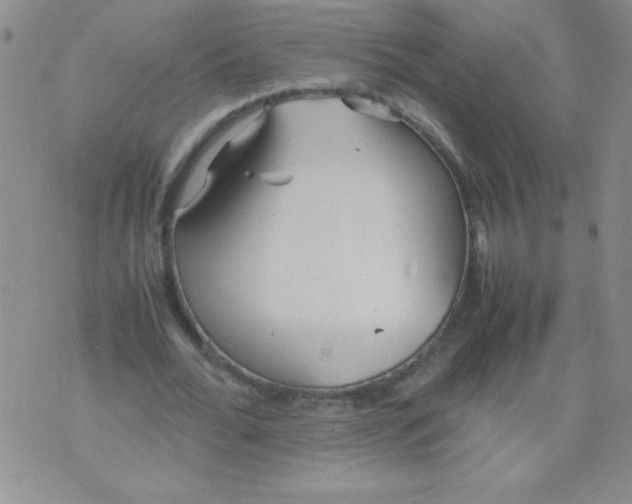 X0000074310676200609152007