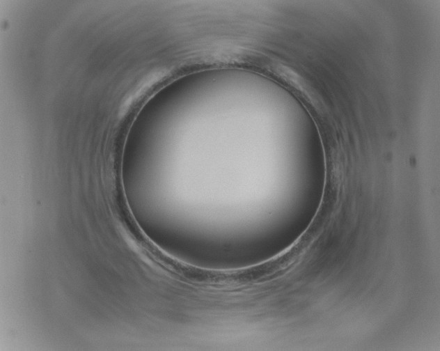 X0000074310677200609152007