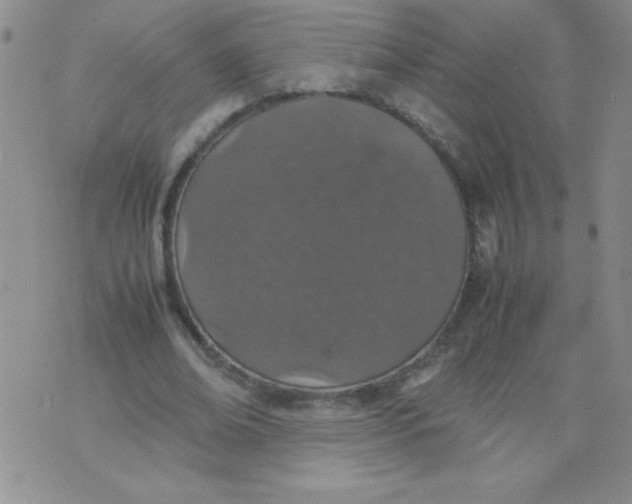 X0000074310678200609152007