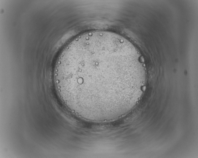 X0000074310679200609152007