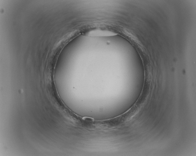 X0000074310681200609152007