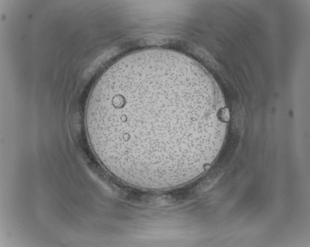 X0000074310683200609152007