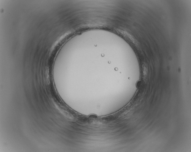 X0000074310684200609152007