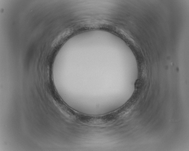 X0000074310685200609152007