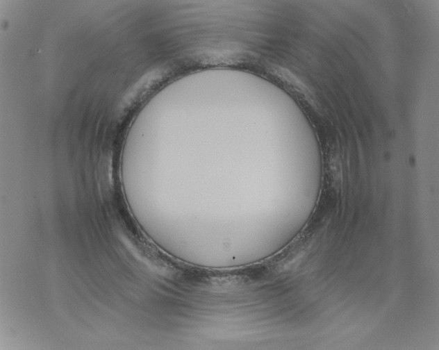 X0000074310686200609152007